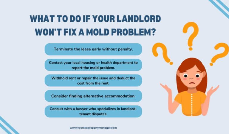 Mold in Apartment: Is It Tenant Or Landlord Responsibility?