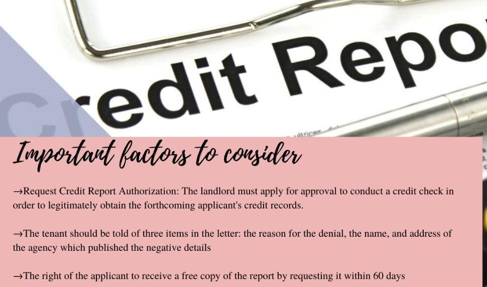 important factors to consider while obtaining credit reports