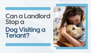Can a Landlord Stop a Dog Visiting
