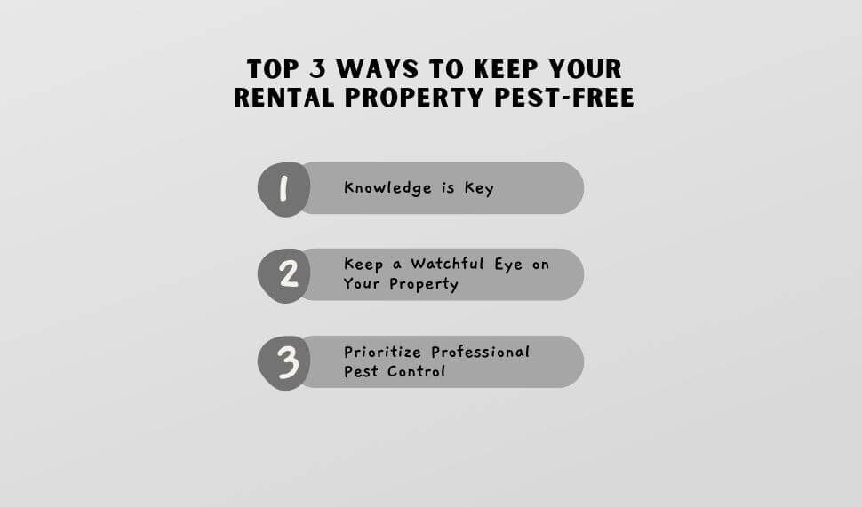 top 3 Ways to Keep Your Rental Property Pest-Free