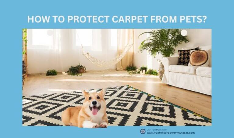 How to Protect Carpet From Pets